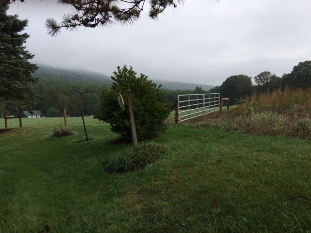 New fencing and gate at the last turn in the lane coming into the farm.